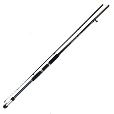 Fisheagle All-Rounder Spinning Rod 8ft 15-40g 2pc
